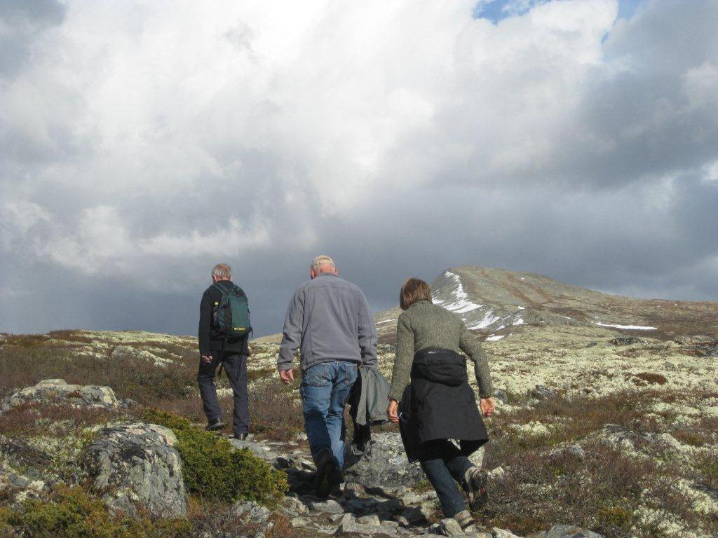 Putten Seter Hovringen ภายนอก รูปภาพ