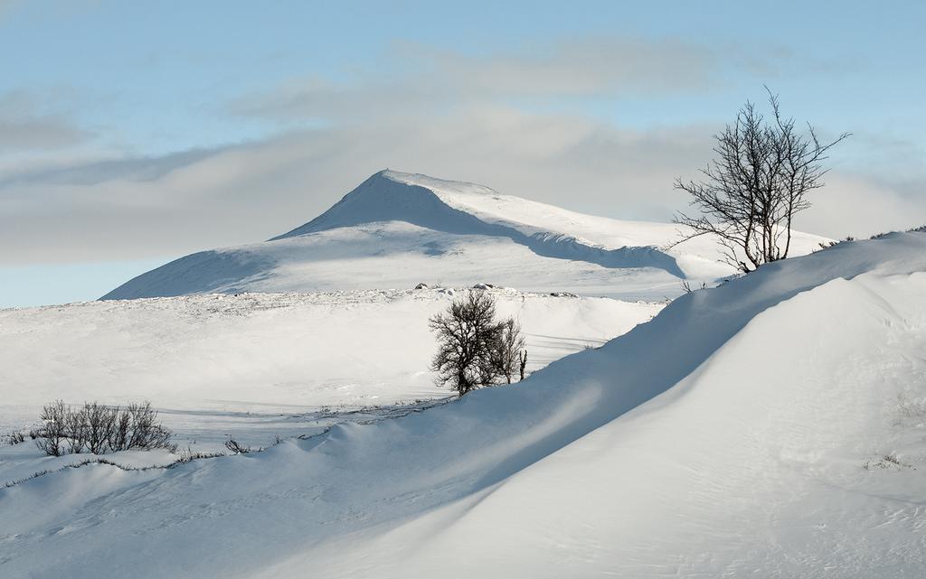 Putten Seter Hovringen ภายนอก รูปภาพ