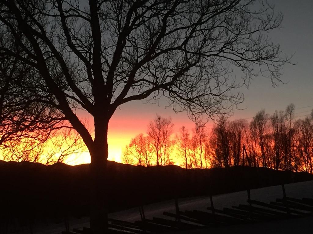 Putten Seter Hovringen ภายนอก รูปภาพ