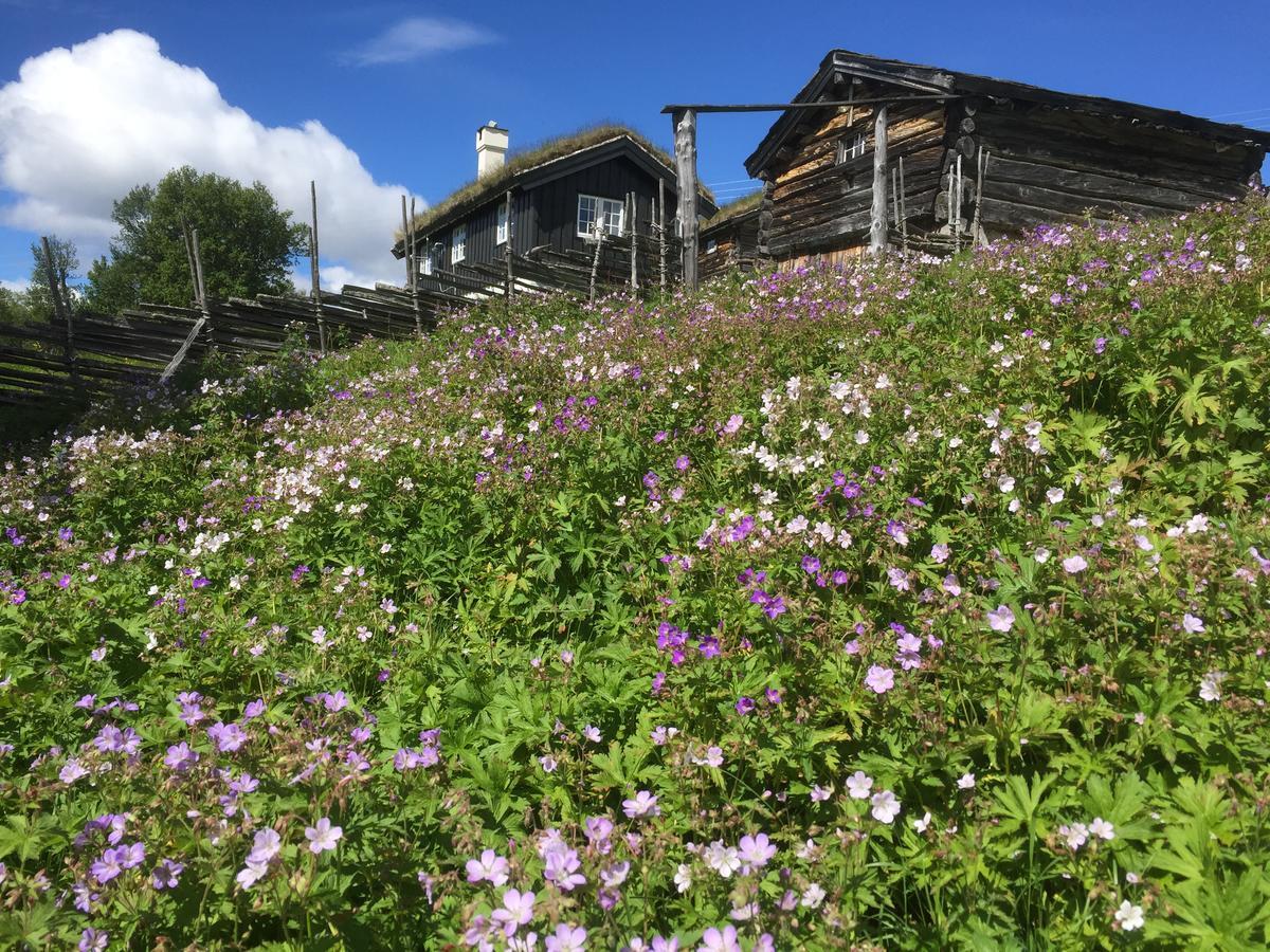 Putten Seter Hovringen ภายนอก รูปภาพ